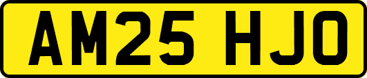 AM25HJO