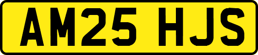 AM25HJS