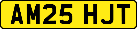 AM25HJT