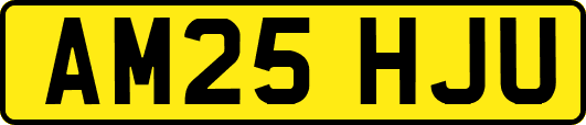 AM25HJU