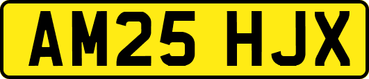 AM25HJX