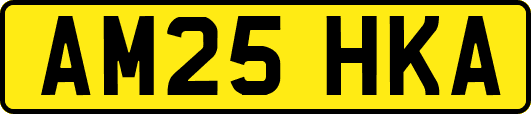 AM25HKA
