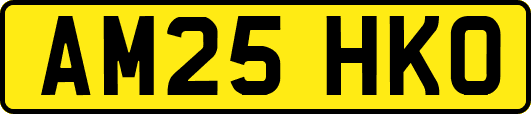 AM25HKO
