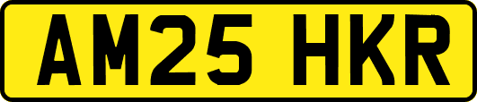 AM25HKR