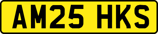 AM25HKS