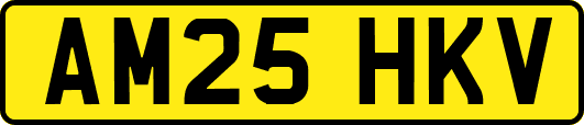 AM25HKV