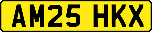 AM25HKX
