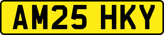 AM25HKY