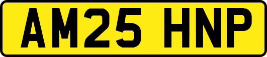 AM25HNP