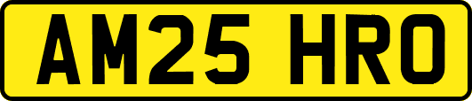 AM25HRO