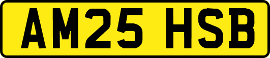 AM25HSB