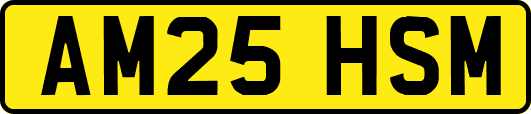 AM25HSM