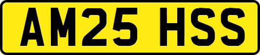 AM25HSS