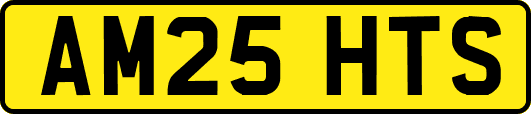 AM25HTS