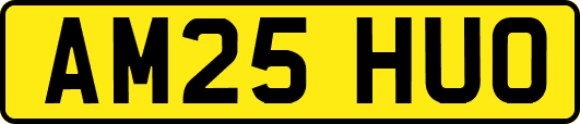 AM25HUO