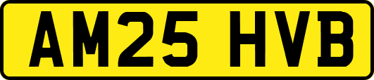 AM25HVB