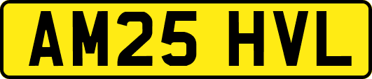 AM25HVL