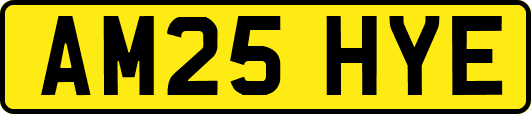 AM25HYE