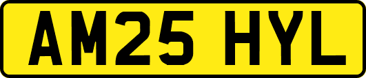 AM25HYL