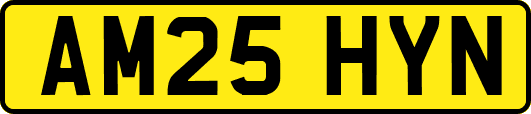 AM25HYN