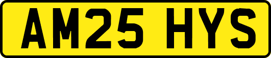 AM25HYS