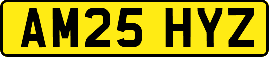 AM25HYZ