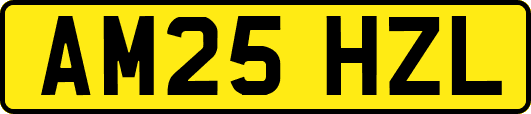 AM25HZL