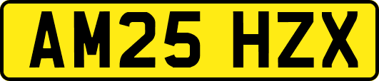 AM25HZX