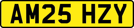 AM25HZY