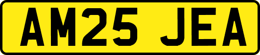 AM25JEA