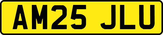 AM25JLU