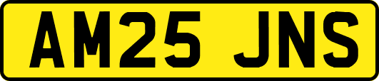 AM25JNS