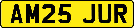 AM25JUR
