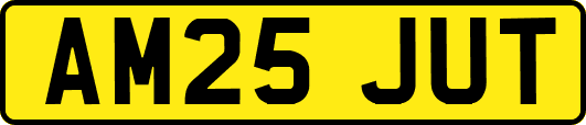 AM25JUT
