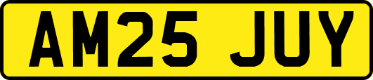 AM25JUY