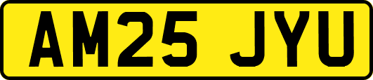 AM25JYU