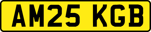 AM25KGB