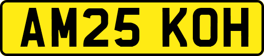 AM25KOH