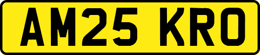 AM25KRO