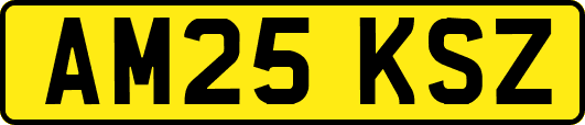 AM25KSZ