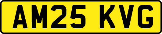 AM25KVG