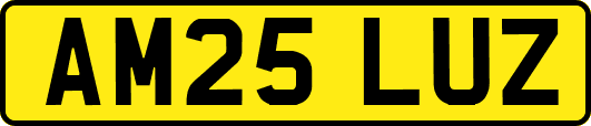 AM25LUZ