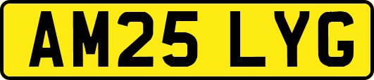 AM25LYG