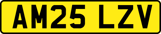 AM25LZV