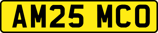 AM25MCO