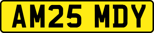 AM25MDY