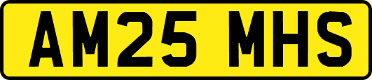 AM25MHS