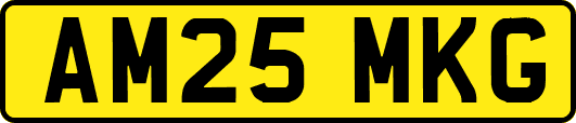 AM25MKG