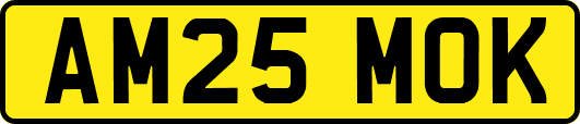 AM25MOK