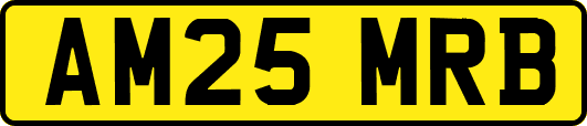AM25MRB